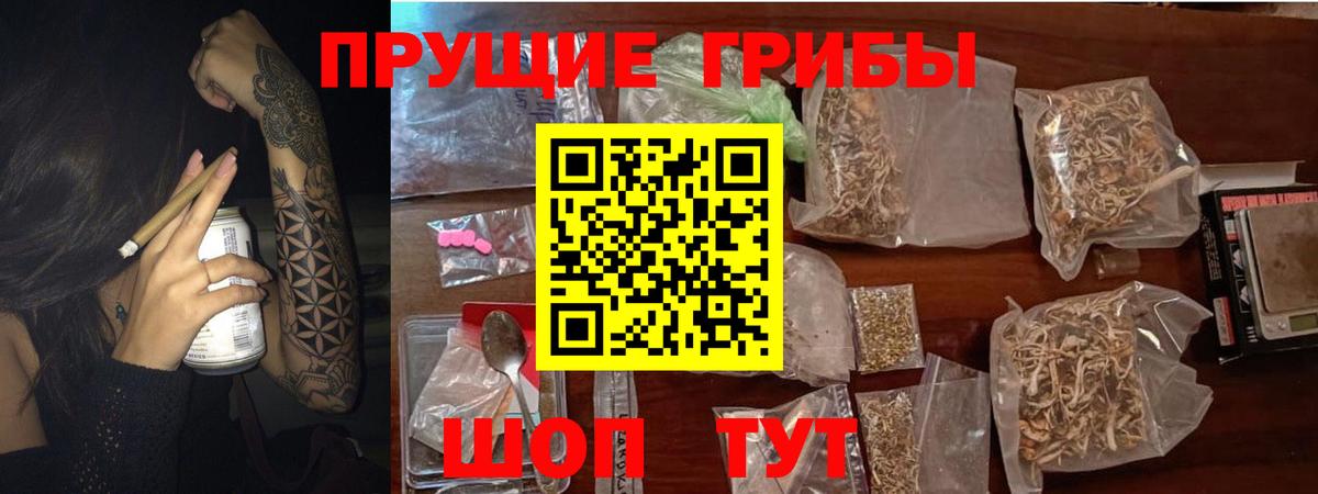 Галлюциногенные грибы GOLDEN TEACHER  Вход с VPN  Керчь 